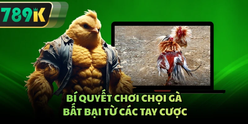 Bí quyết chơi chọi gà bất bại từ các tay cược