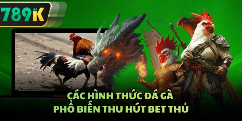 Các hình thức đá gà phổ biến thu hút bet thủ