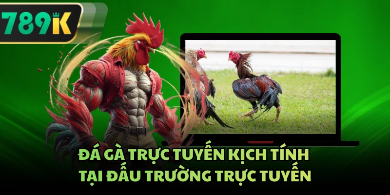 Đá gà trực tuyến kịch tính tại đấu trường trực tuyến